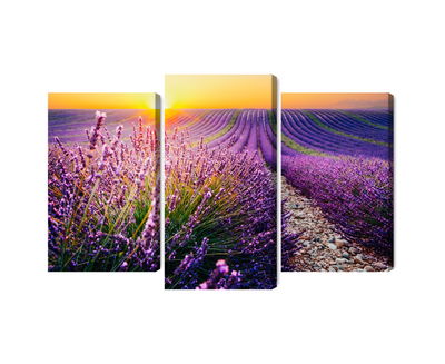 Ljuddämpande tavla - Lavender field at sunset 3d