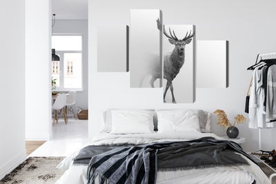 Ljuddämpande tavla - A stately deer in the fog