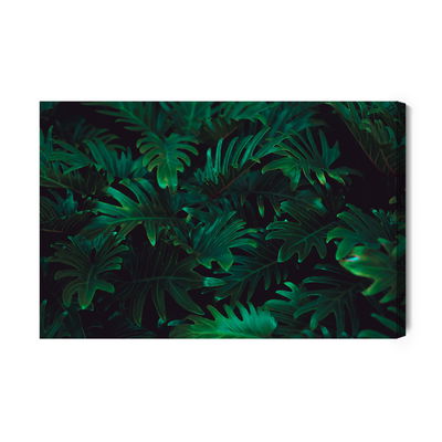 Ljuddämpande tavla - Tropical fern bushes