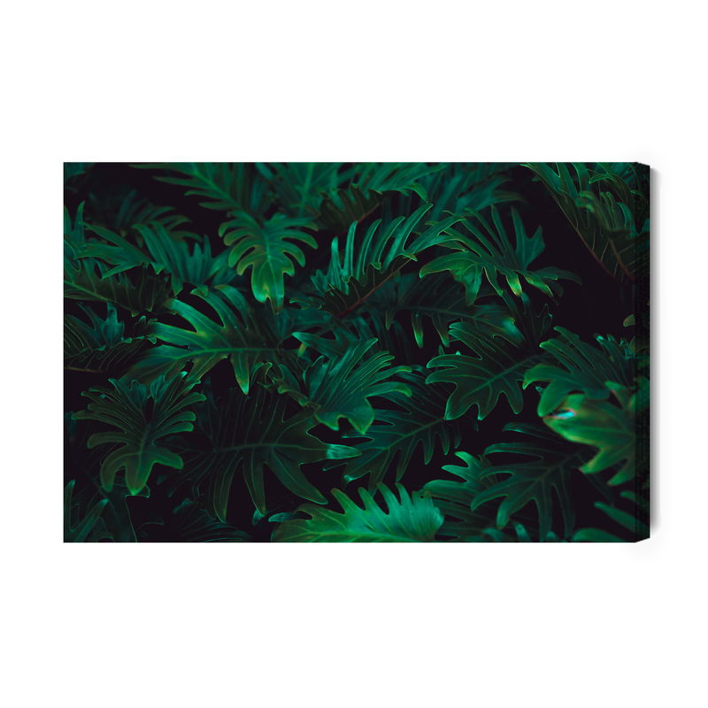 Ljuddämpande tavla - Tropical fern bushes