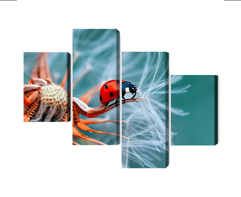 Ljuddämpande tavla - Ladybug on a dandelion