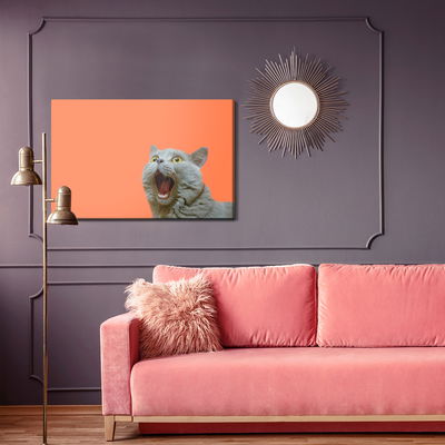 Ljuddämpande tavla - British cat on an orange