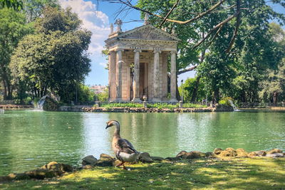 Ljuddämpande tavla - Temple of aesculapius