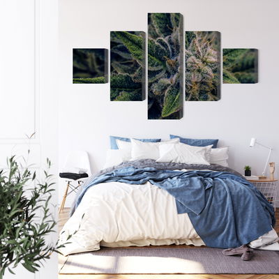 Ljuddämpande tavla - Cannabis plant close up