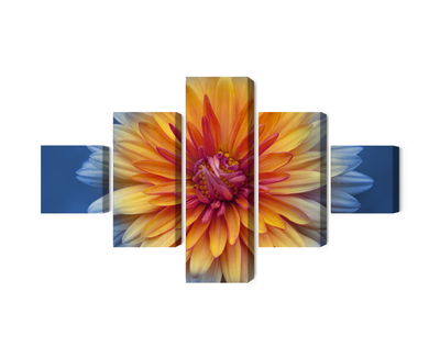 Ljuddämpande tavla - Chrysanthemum flower close