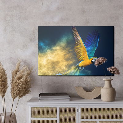 Ljuddämpande tavla - Colorful macaw parrot