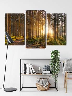 Ljuddämpande tavla - Sunset in the forest
