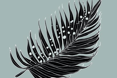 Ljuddämpande tavla - Black palm leaf on a gray