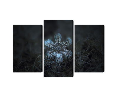 Ljuddämpande tavla - Snow flake in 3d macro scale