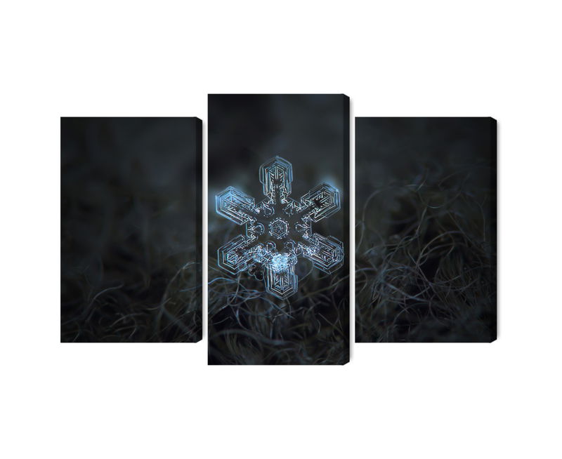 Ljuddämpande tavla - Snow flake in 3d macro scale