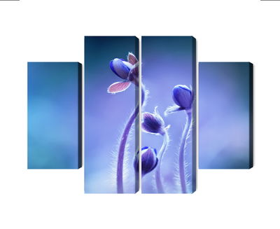 Ljuddämpande tavla - Delicate flowers on a macro