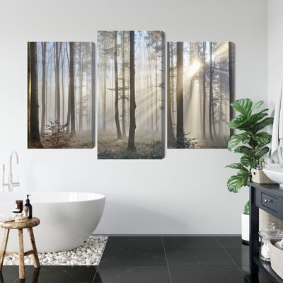 Ljuddämpande tavla - Sunrise in the woods