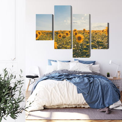 Ljuddämpande tavla - Sunflower field on a summer