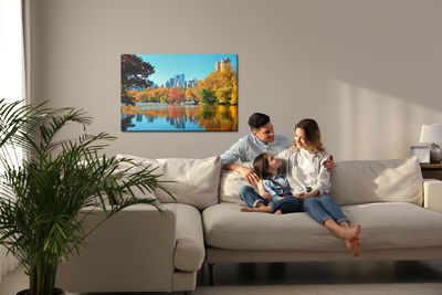 Ljuddämpande tavla - Central park in the fall