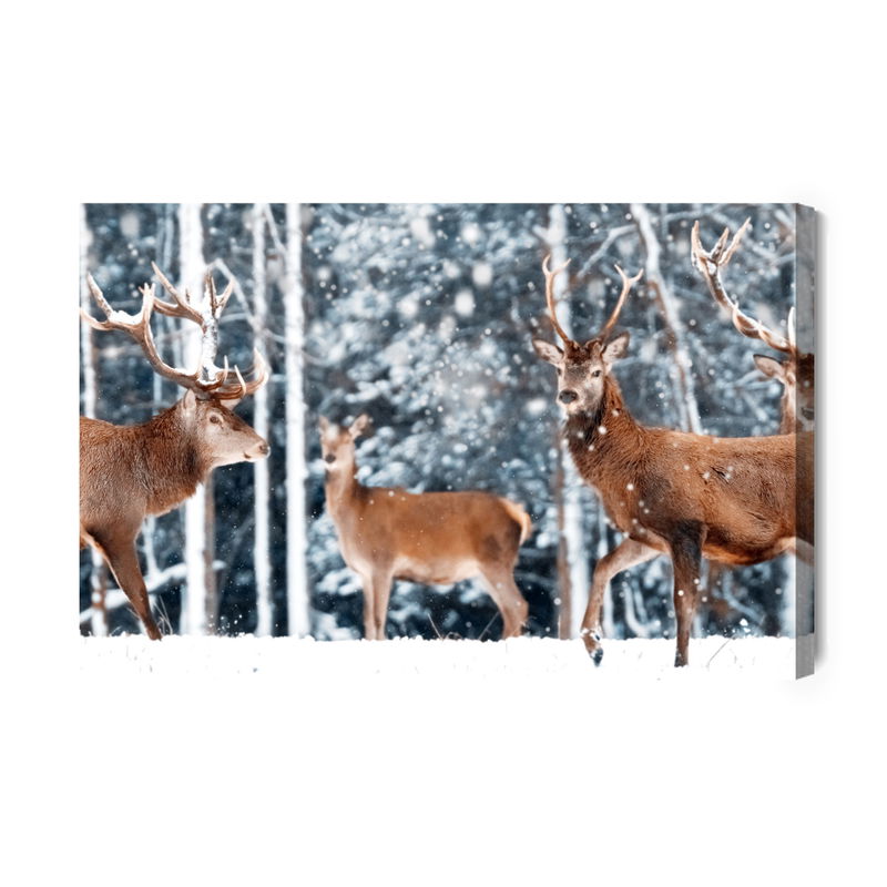 Ljuddämpande tavla - A herd of deer in the winter