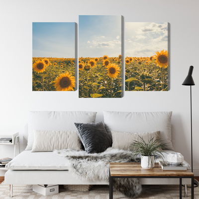 Ljuddämpande tavla - Sunflower field on a summer