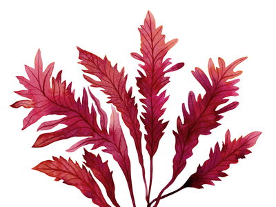 Ljuddämpande tavla - Watercolor leaves