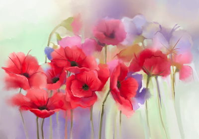 Ljuddämpande tavla - Colorful poppies painted