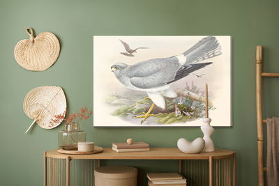 Ljuddämpande tavla - Birds of prey