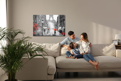 Ljuddämpande tavla - View of the Paris street