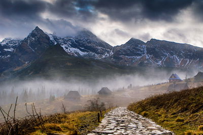 Ljuddämpande tavla - Misty landscape with hala