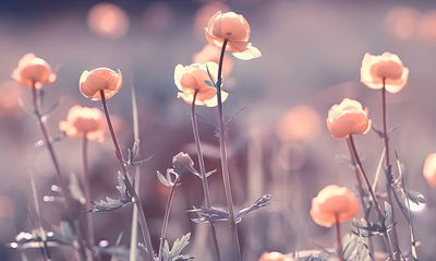 Ljuddämpande tavla - Spring 3d flowers