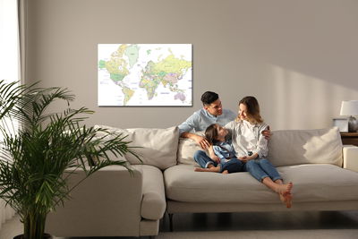 Ljuddämpande tavla - Political world map