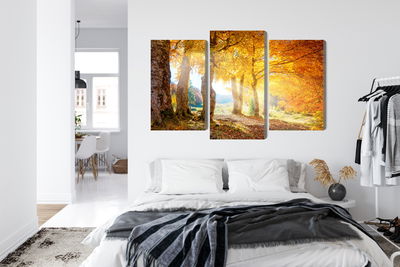 Ljuddämpande tavla - Sunny autumn forest