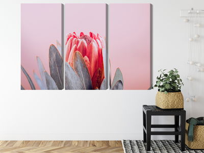 Ljuddämpande tavla - Flower of the royal protéa