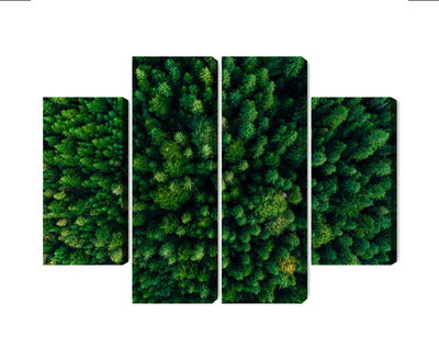 Ljuddämpande tavla - Aerial view of the green