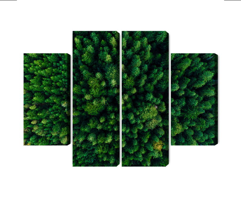 Ljuddämpande tavla - Aerial view of the green