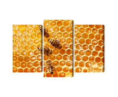 Ljuddämpande tavla - Bees on the honeycomb