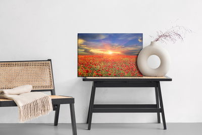 Ljuddämpande tavla - Sunset over a filed