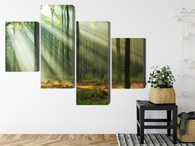 Ljuddämpande tavla - Forest landscape