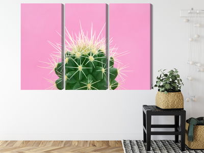 Ljuddämpande tavla - Cactus on a pink background