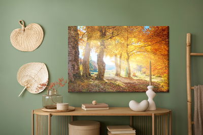 Ljuddämpande tavla - Warm autumn landscape