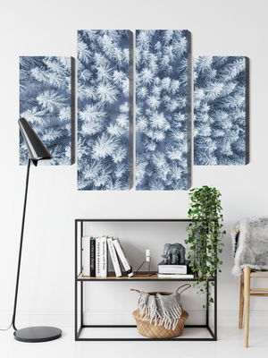 Ljuddämpande tavla - Aerial view of the winter