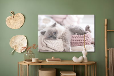 Ljuddämpande tavla - Cat with a knitted blanket