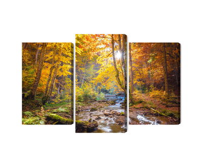 Ljuddämpande tavla - 3d autumn forest landscape