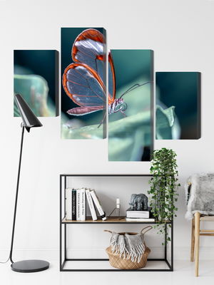 Ljuddämpande tavla - Glass-winged butterfly close