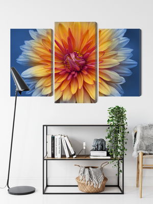 Ljuddämpande tavla - Chrysanthemum flower close