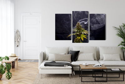 Ljuddämpande tavla - Cannabis plant on a smoky