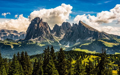 Ljuddämpande tavla - View of the italian