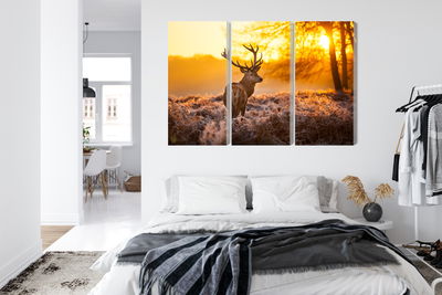 Ljuddämpande tavla - Deer in the forest at sunset