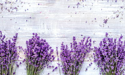 Ljuddämpande tavla - Lavender flowers on a rustic