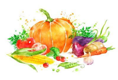 Ljuddämpande tavla - Pumpkin with vegetables