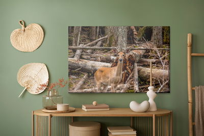 Ljuddämpande tavla - A young deer among the trees