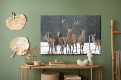 Ljuddämpande tavla - A deer and a doe