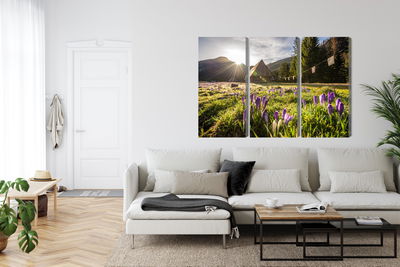 Ljuddämpande tavla - Chocholowska valley