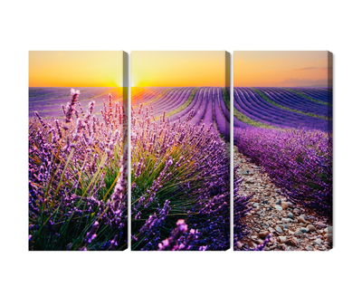 Ljuddämpande tavla - Lavender field at sunset 3d